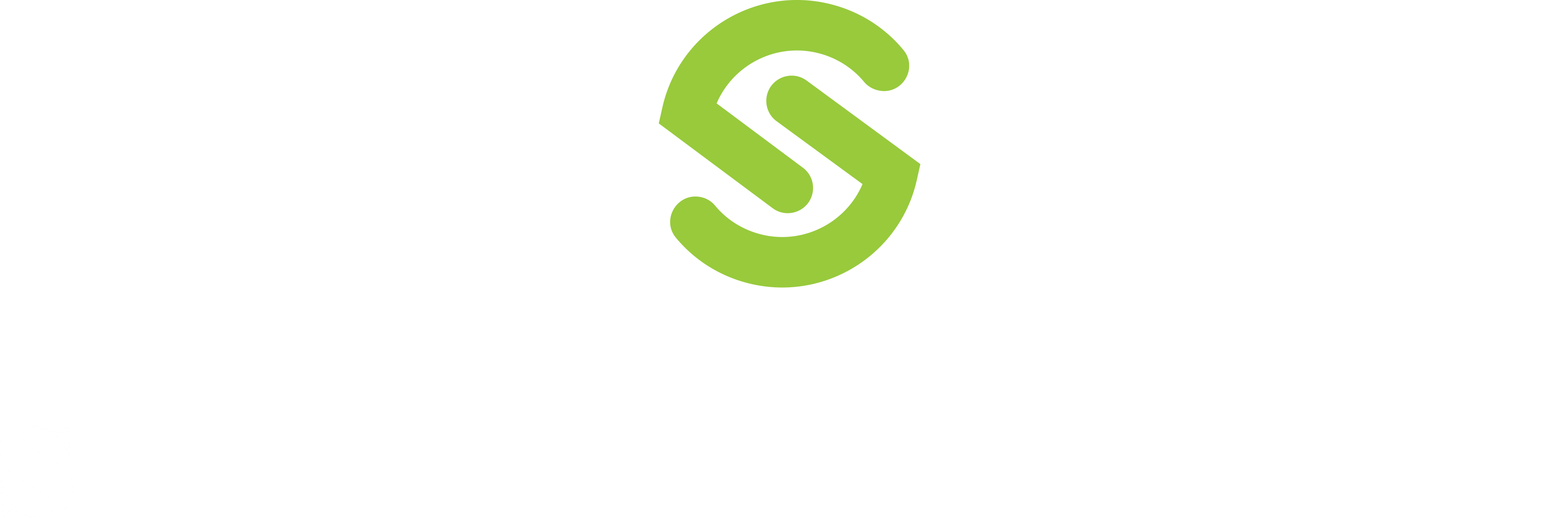 Stone Inspirations logo